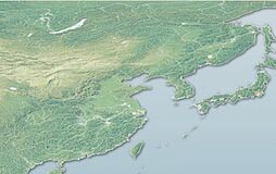 2004: Suministro a China