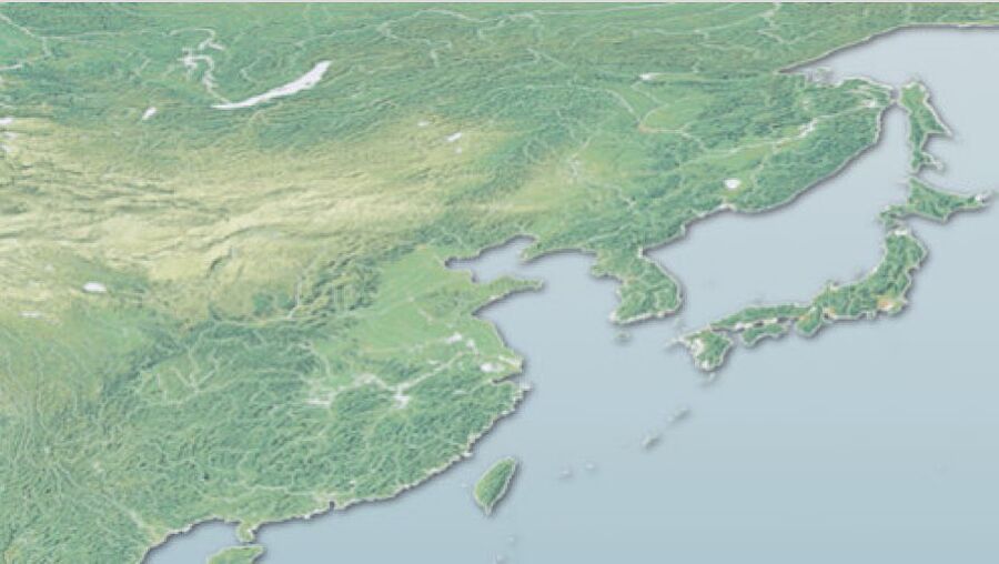 2004: Suministro a China