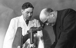 1941: Labor für Qualitätsprüfung